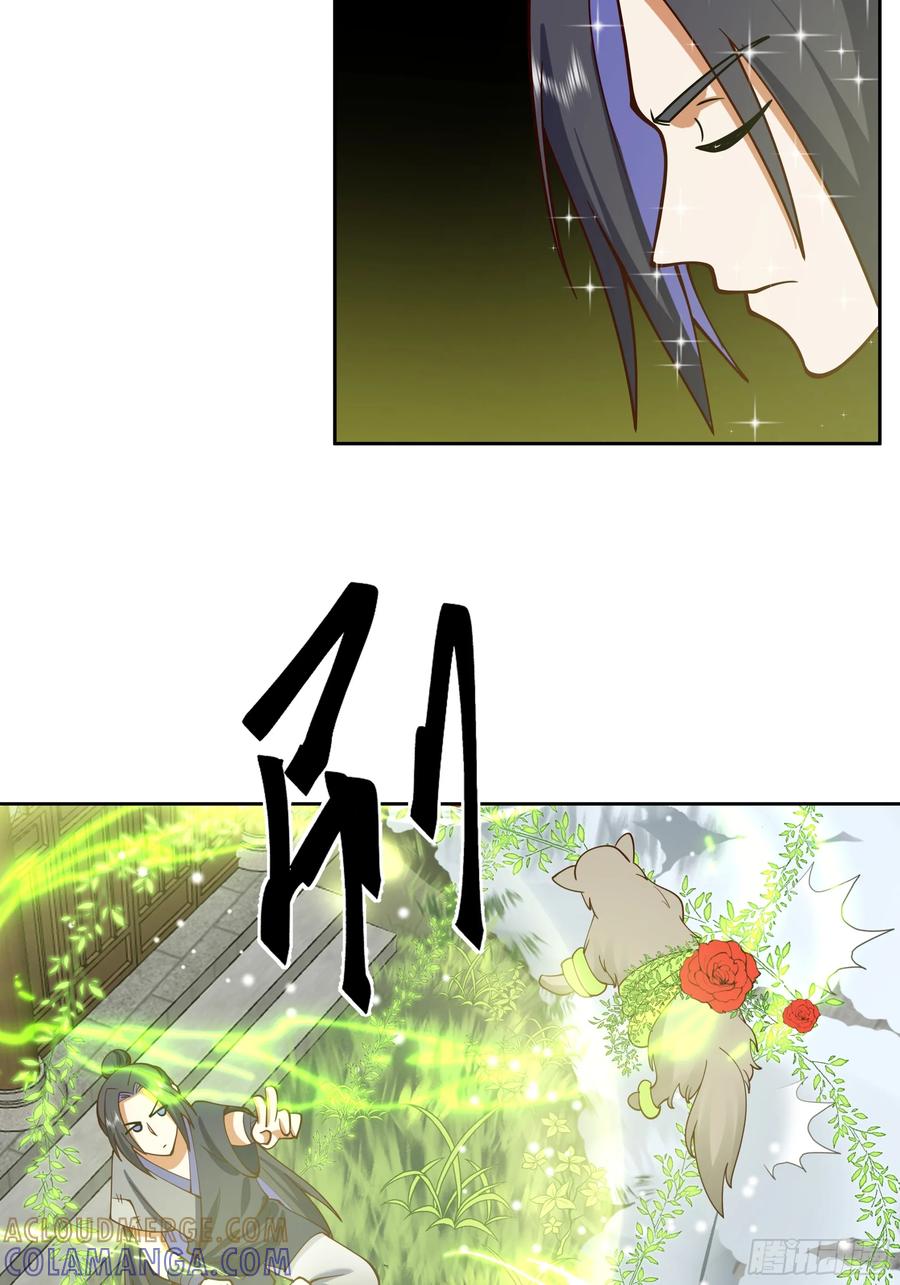 《师姐，我不想努力了》吾乃灵根机缘 第13页