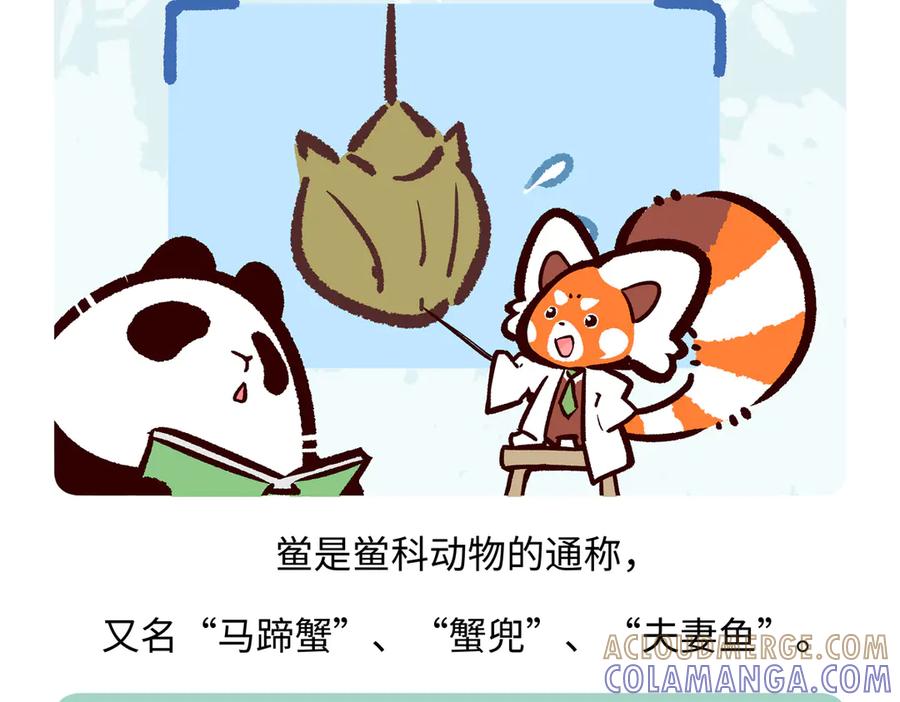 《胖达x胖达》第277话 第19页