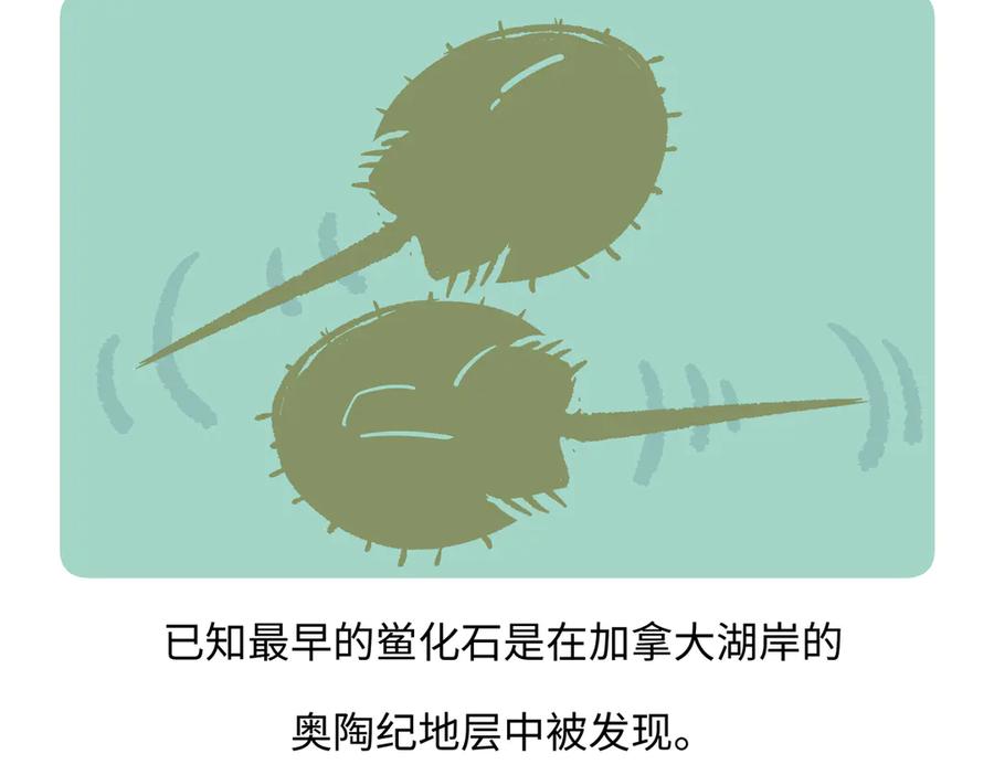 《胖达x胖达》第277话 第20页