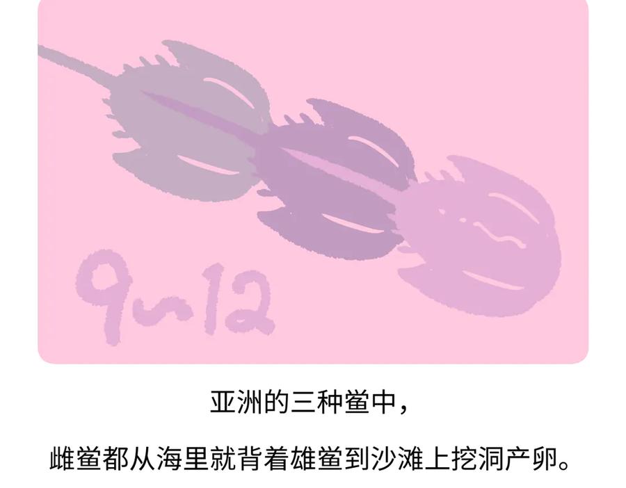 《胖达x胖达》第280话 第20页