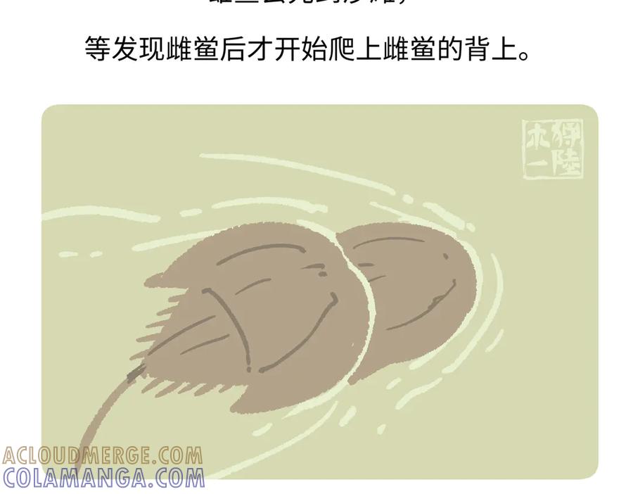 《胖达x胖达》第280话 第23页