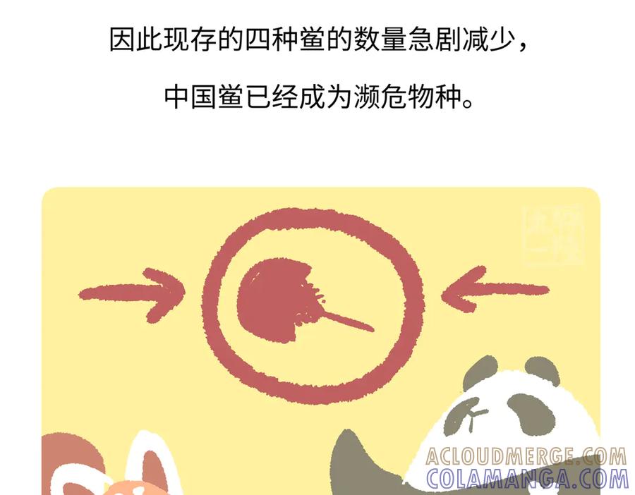 《胖达x胖达》第280话 第29页