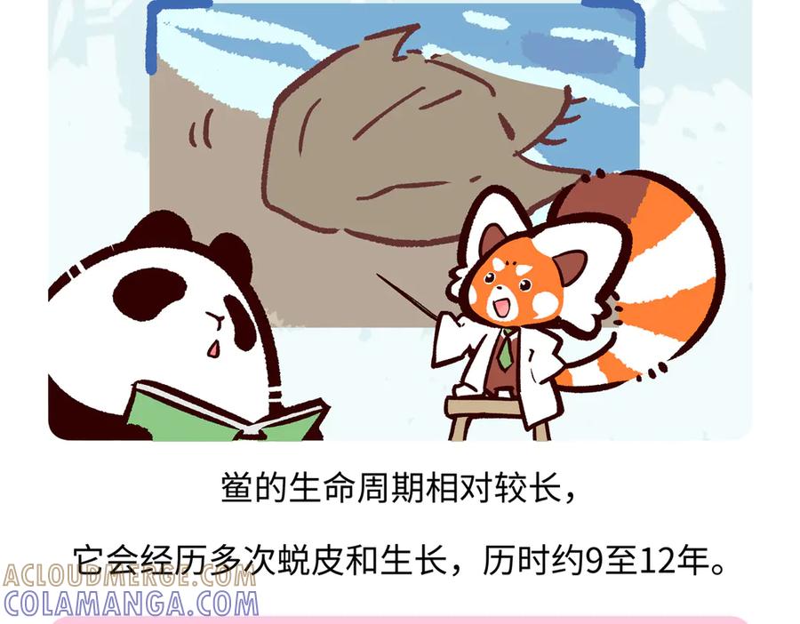 《胖达x胖达》第280话 第19页
