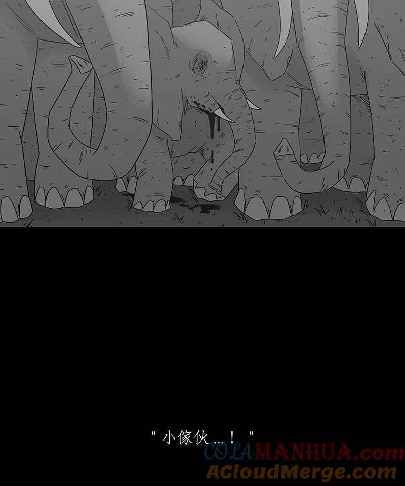 黑盒子 [第203话] 摄象者(6) 第16页