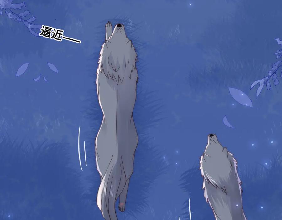 养敌为患 第136话 夜小狼出现 第56页