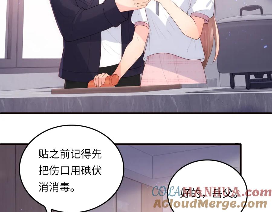 养敌为患 番外21 我把女儿正式交给你 第28页