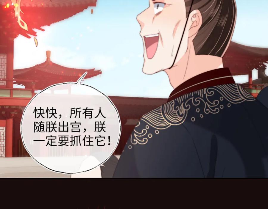 养敌为患 第41话 里应外合 第11页