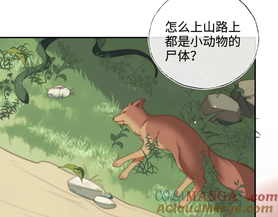 养敌为患 第77话 在搞什么鬼？ 第19页