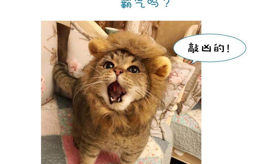 《养个少主斗渣男》第165话 意外状况 第41页