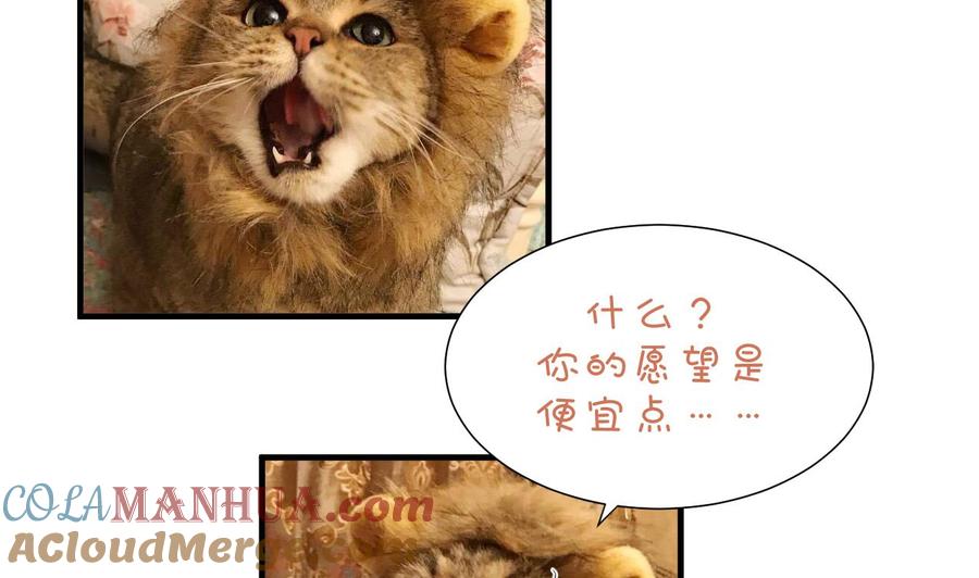 《养个少主斗渣男》第166话 出事 第43页