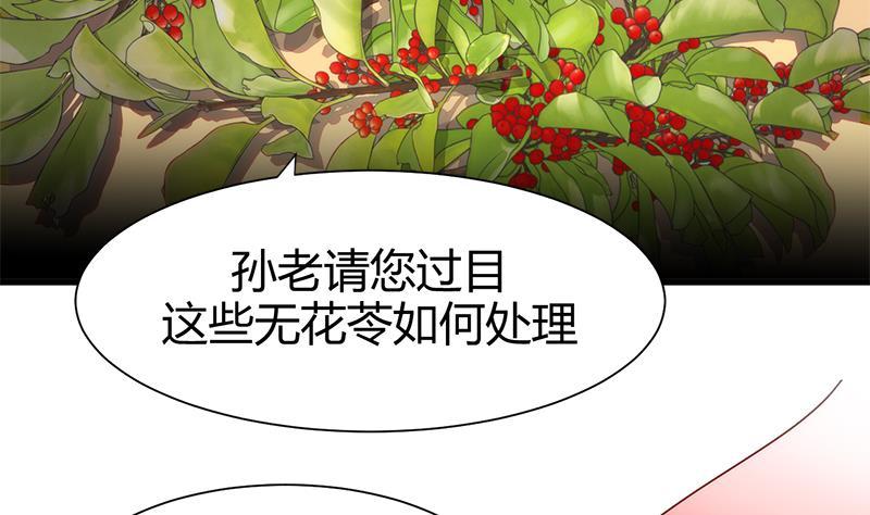 《养个少主斗渣男》第54话 皮囊 第35页