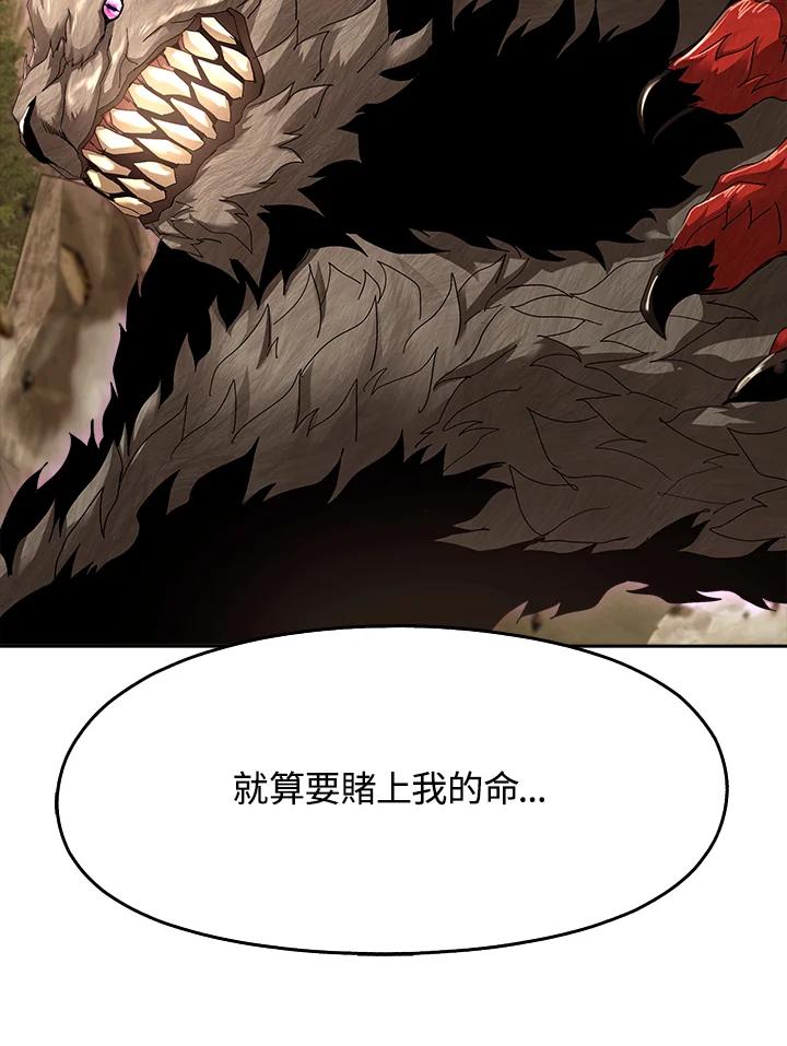 《魔灵召唤：追寻者》第26话 第46页