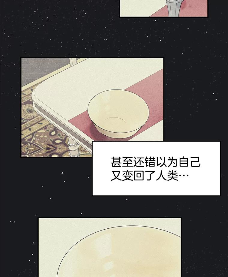 《替吸血鬼吃饭的我》4.吸血鬼顾锡雪和江若羽 第152页