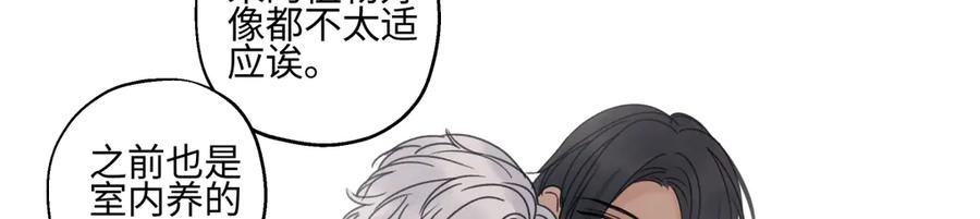 阳生小雪 - 89 孤独星球 - 第20张图