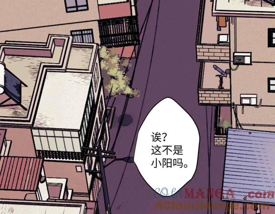 阳生小雪 - 01归家 - 第5张图