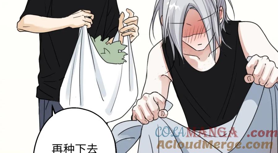 阳生小雪 - 39 不断向前，重新遇见 - 第4张图