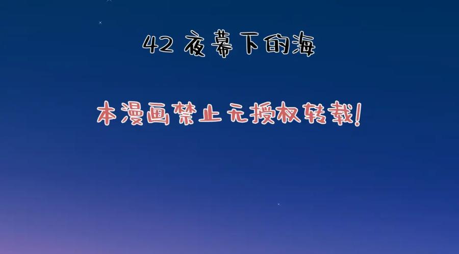 阳生小雪 - 42 夜幕下的海 - 第2张图