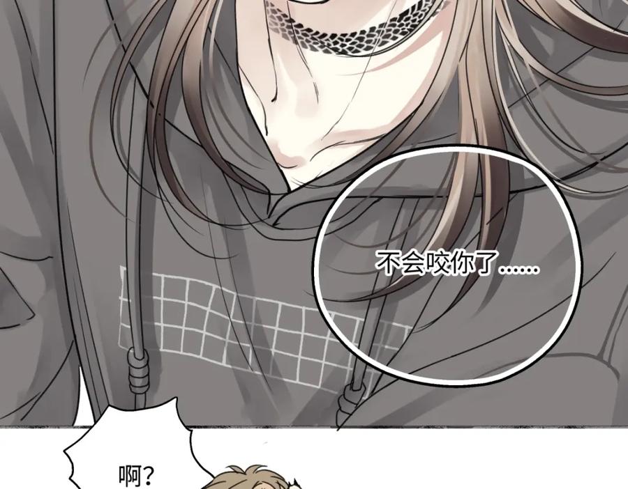 阳生小雪 - 55 皮肤 - 第75张图