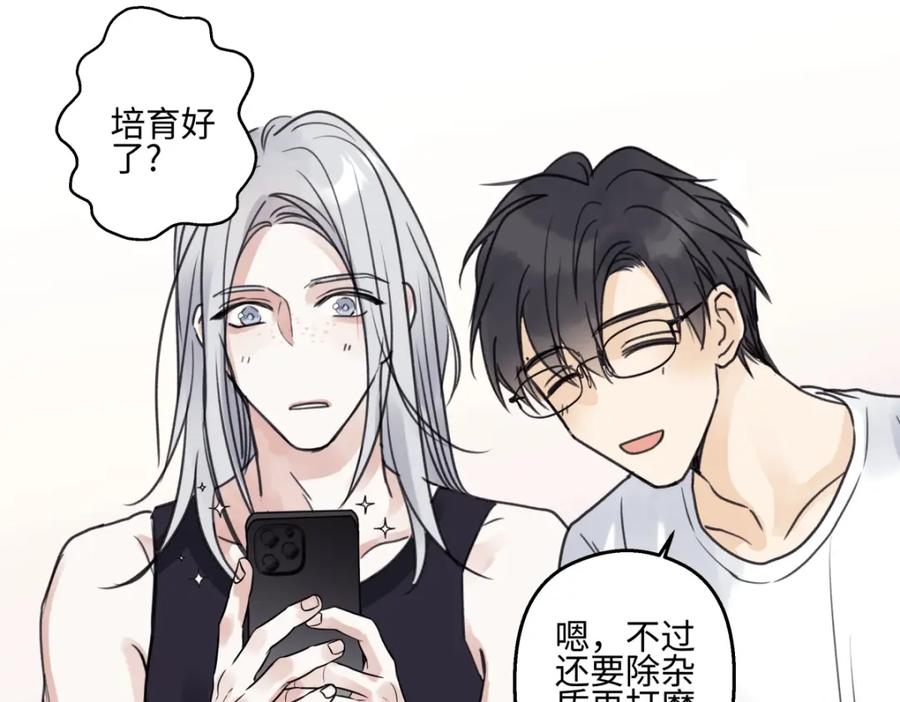 阳生小雪 - 花能灼热寂寥的心 - 第60张图