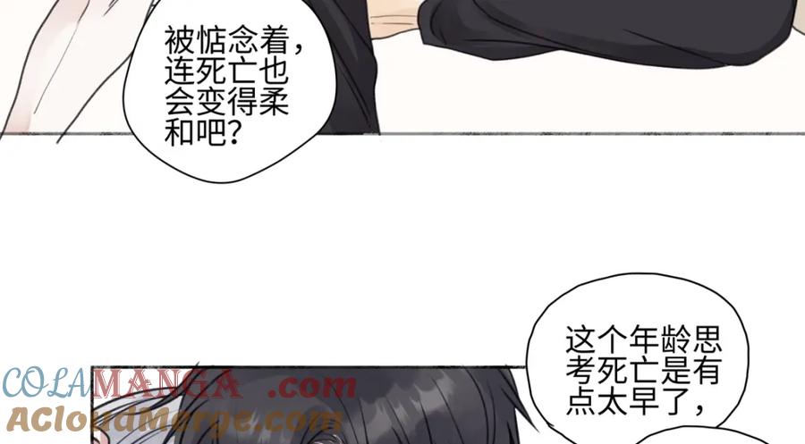 阳生小雪 - 花能灼热寂寥的心 - 第69张图