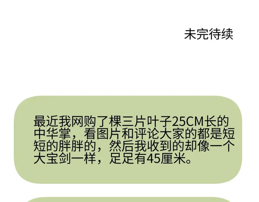 阳生小雪 - 花能灼热寂寥的心 - 第104张图