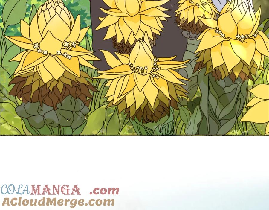 阳生小雪 - 85 嬉戏 - 第25张图