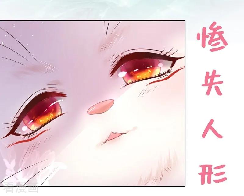 《养兽为妃》预告 第4页