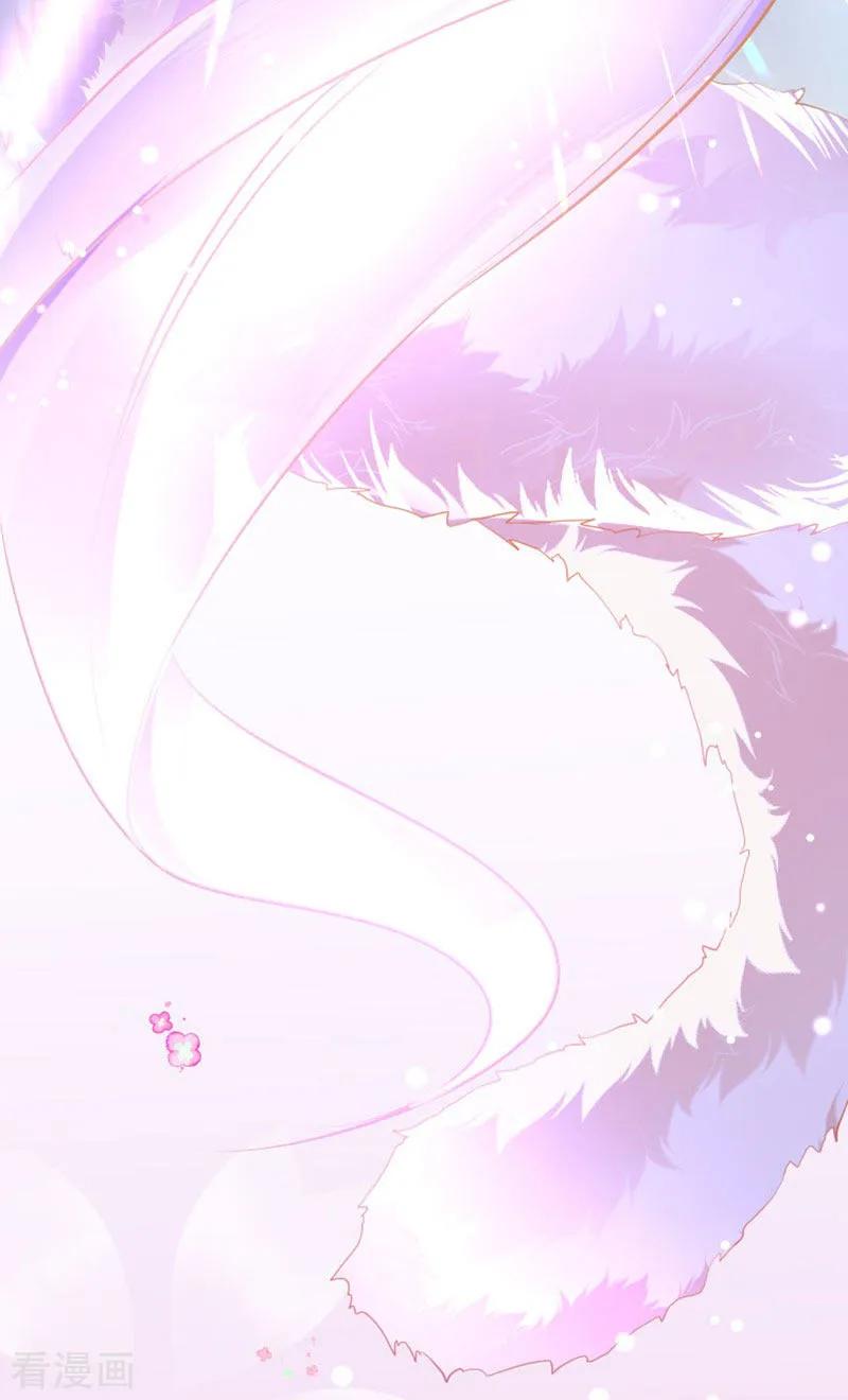 《养兽为妃》预告 第12页