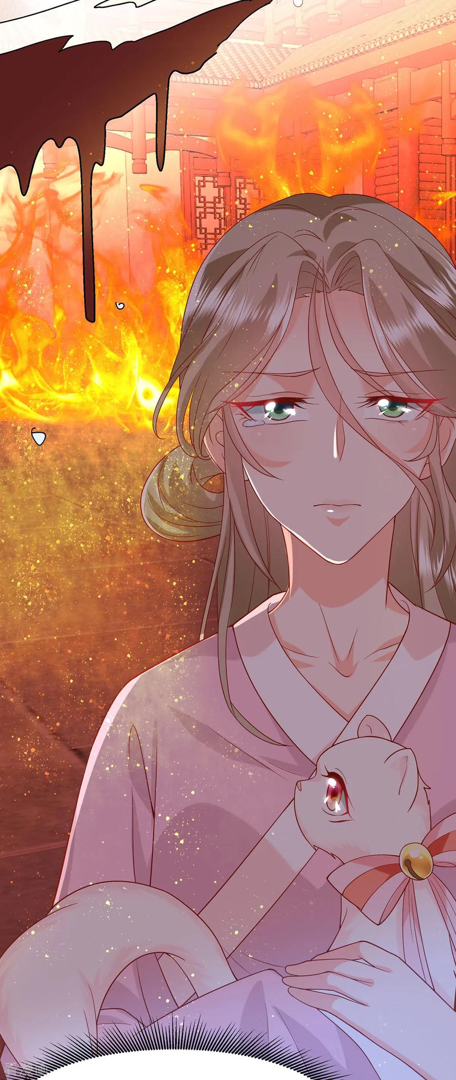 《养兽为妃》第9话 打脸套娃警告 第5页