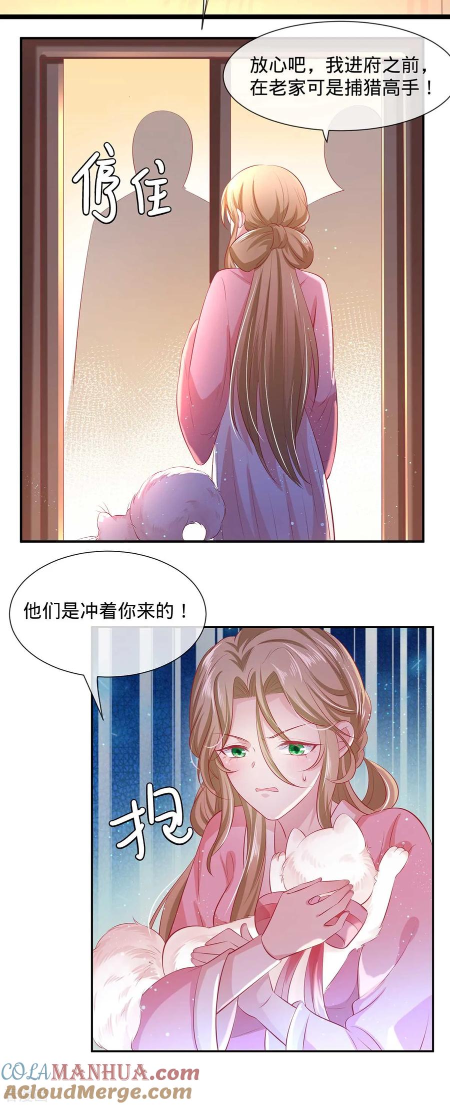 《养兽为妃》第11话 春宵一梦 第37页