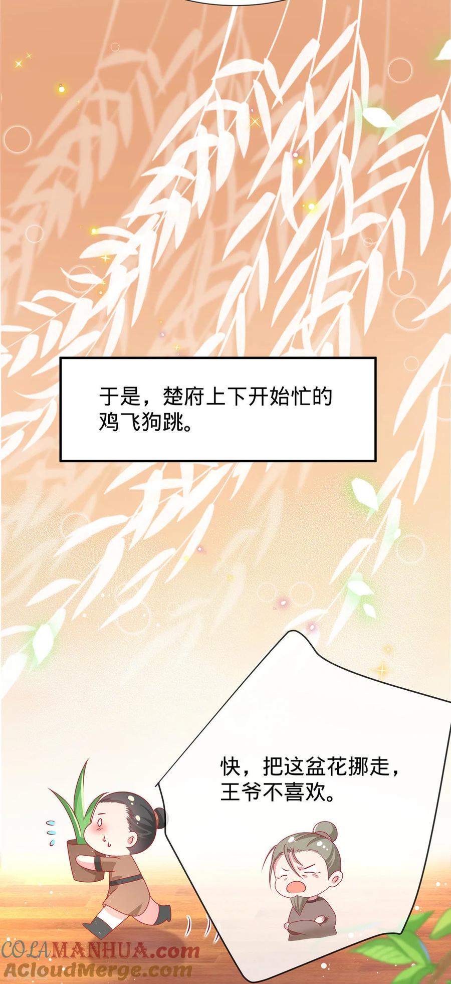 《养兽为妃》第13话 我胸没了 第25页