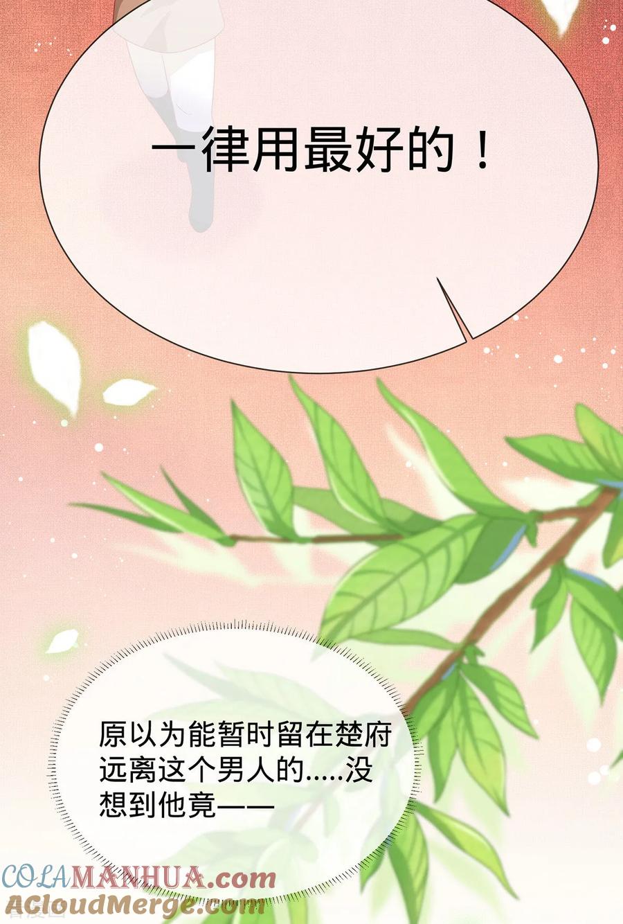 《养兽为妃》第13话 我胸没了 第28页