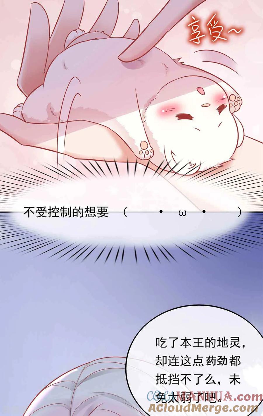 《养兽为妃》第2话 你算什么东西 第52页