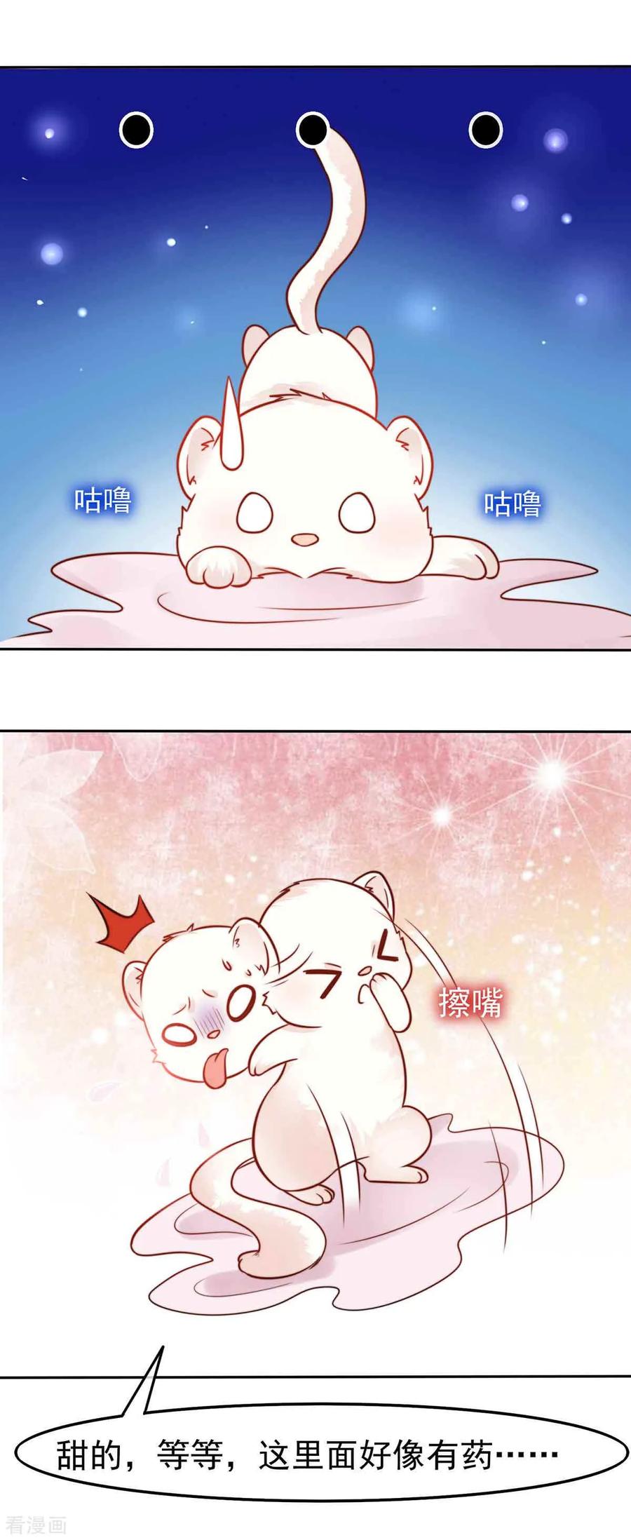 《养兽为妃》第2话 你算什么东西 第32页