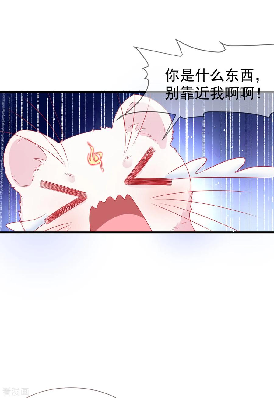 《养兽为妃》第36话 小黑屋的羞辱 第2页