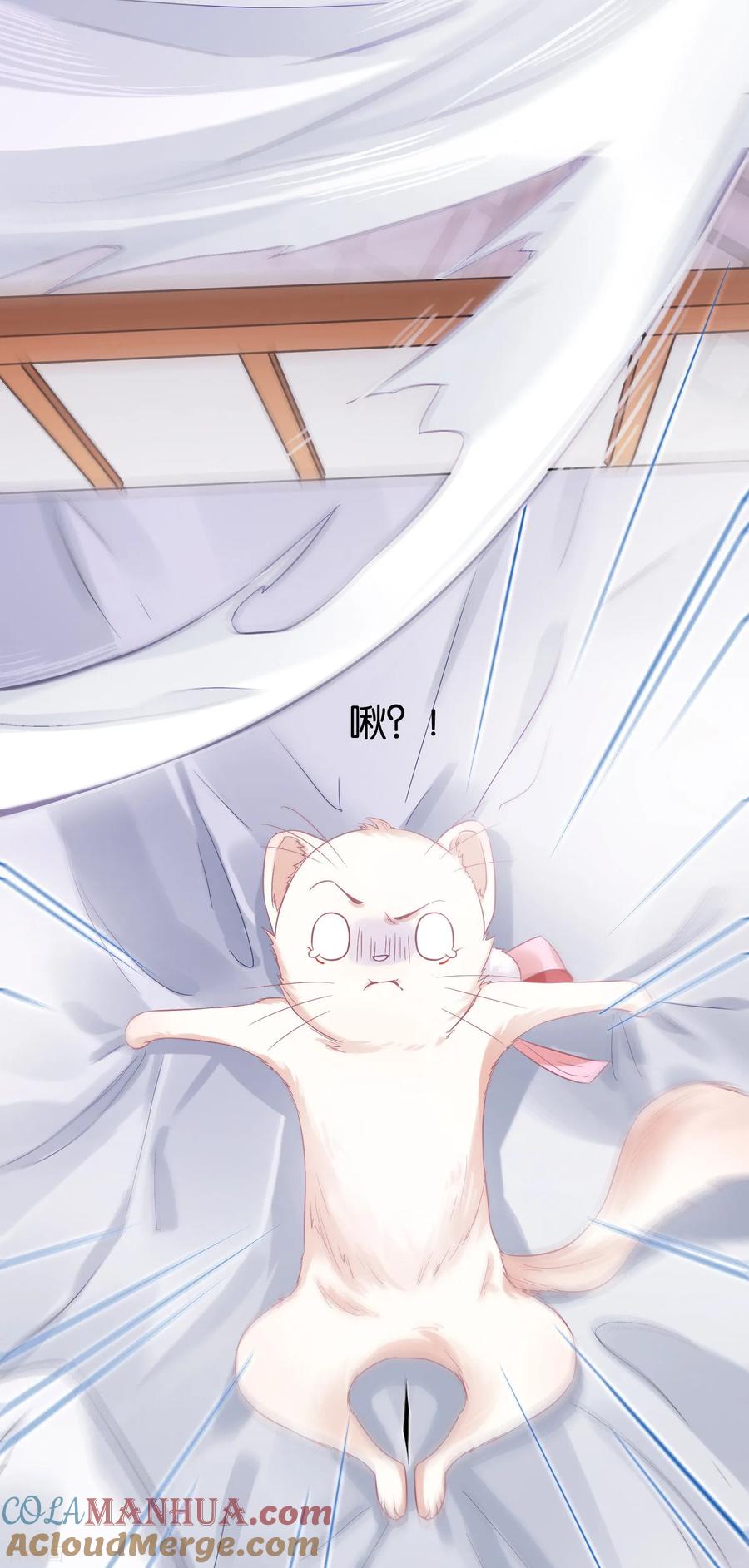 《养兽为妃》第4话 让报复来的更猛烈些吧 第4页