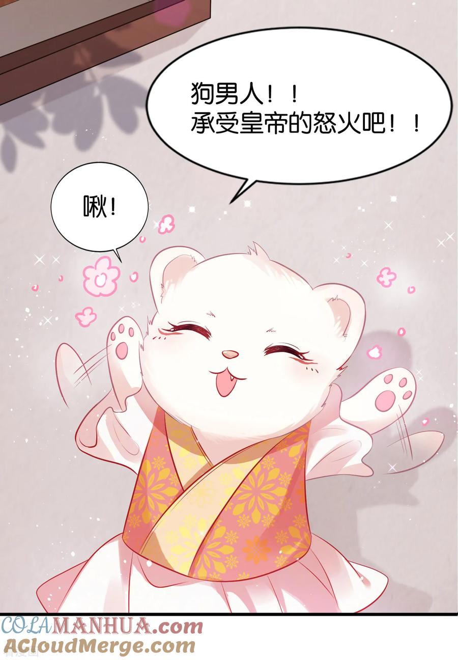《养兽为妃》第4话 让报复来的更猛烈些吧 第43页