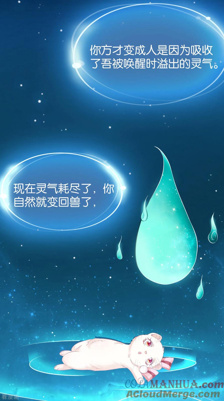 《养兽为妃》第4话 让报复来的更猛烈些吧 第7页