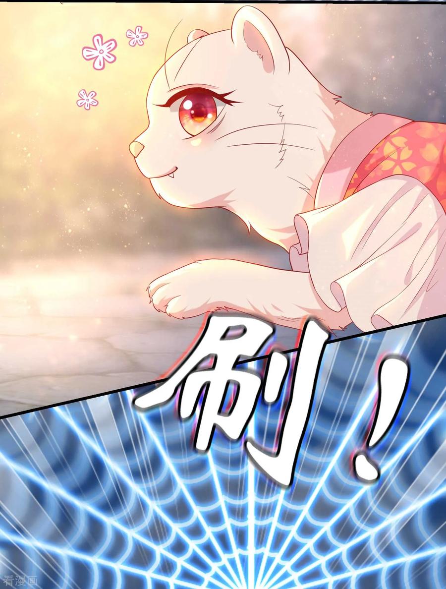 《养兽为妃》第5话 熊孩子终结者 第36页