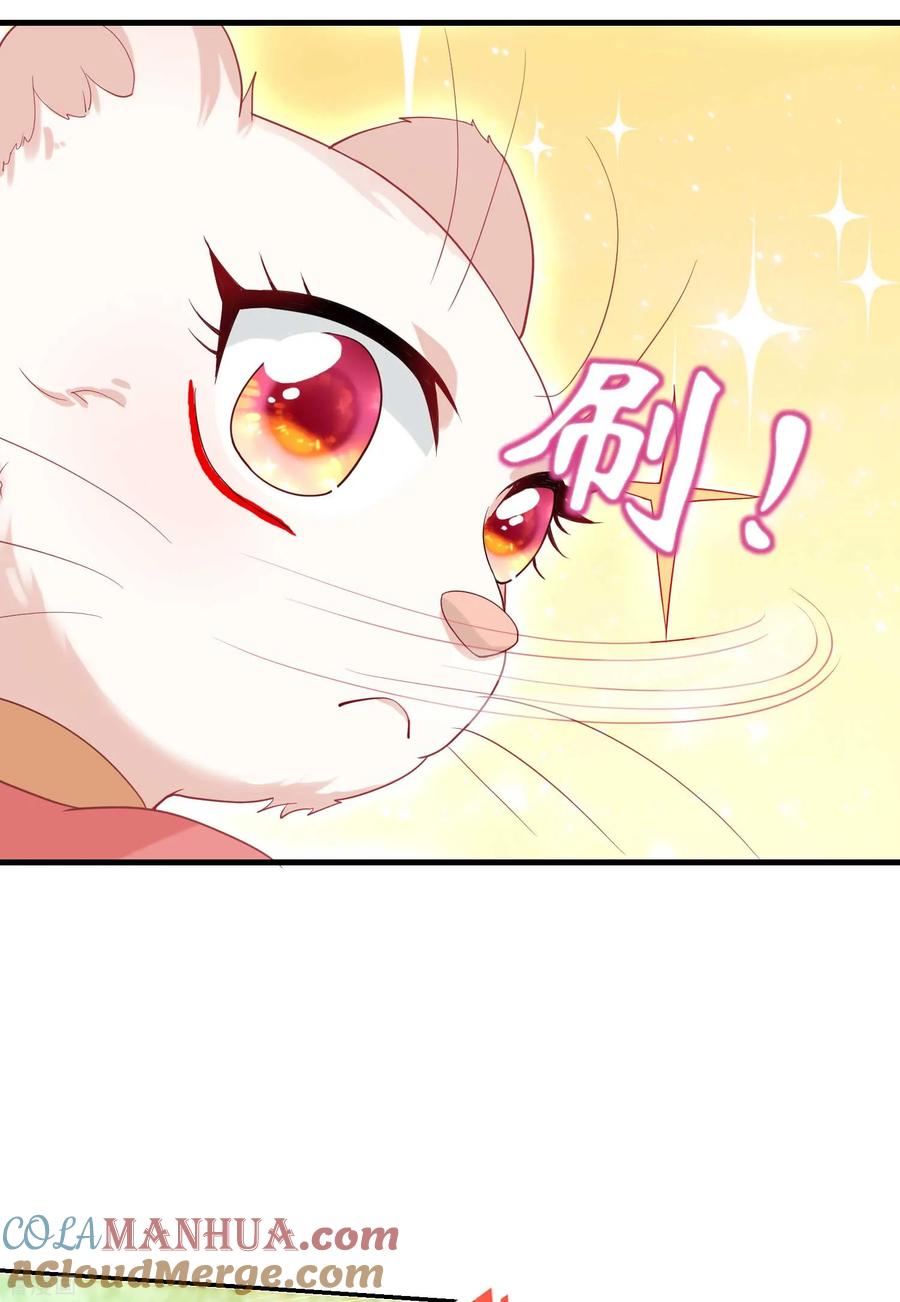 《养兽为妃》第5话 熊孩子终结者 第22页