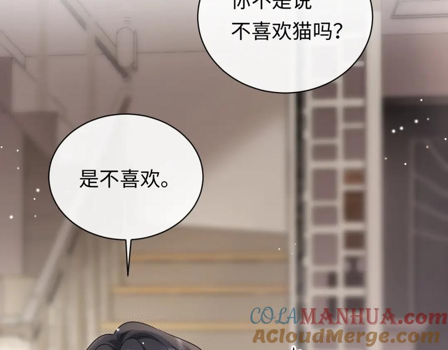 严禁造谣 第17话 假糖？不，真的！ 第5页