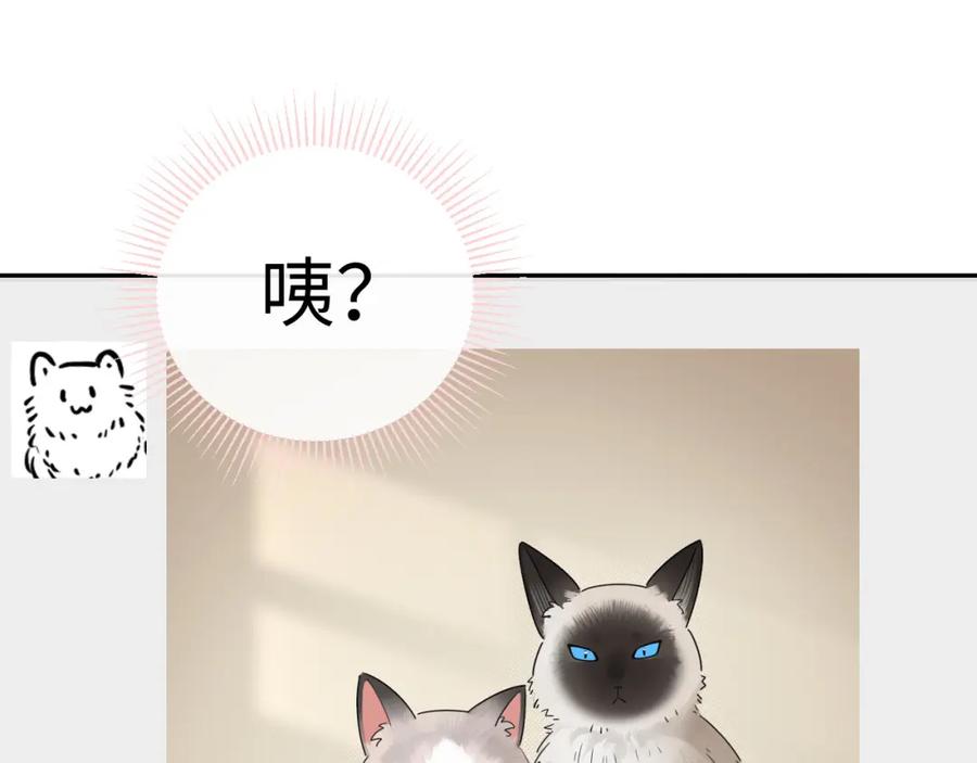 严禁造谣 第5话 爱豆说不能谈恋爱！ 第91页
