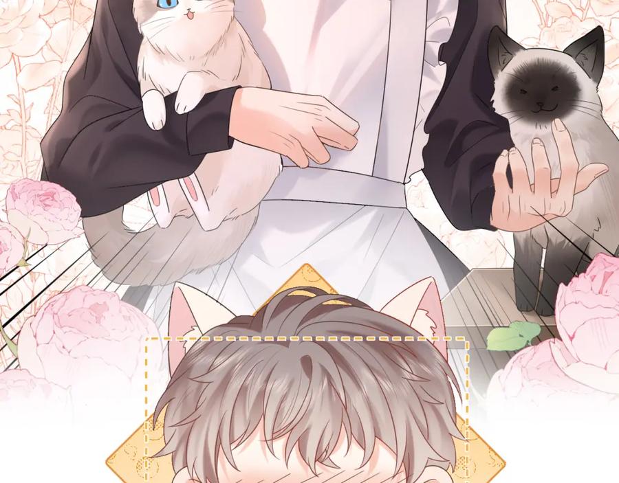 严禁造谣 第5话 爱豆说不能谈恋爱！ 第96页