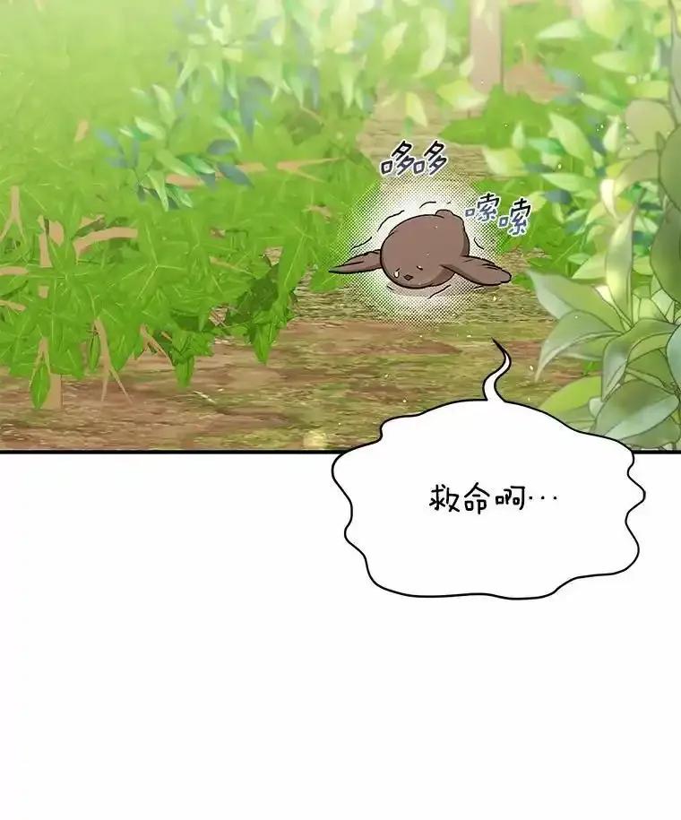 《你好？兽医先生！》62.动物的信号 第79页