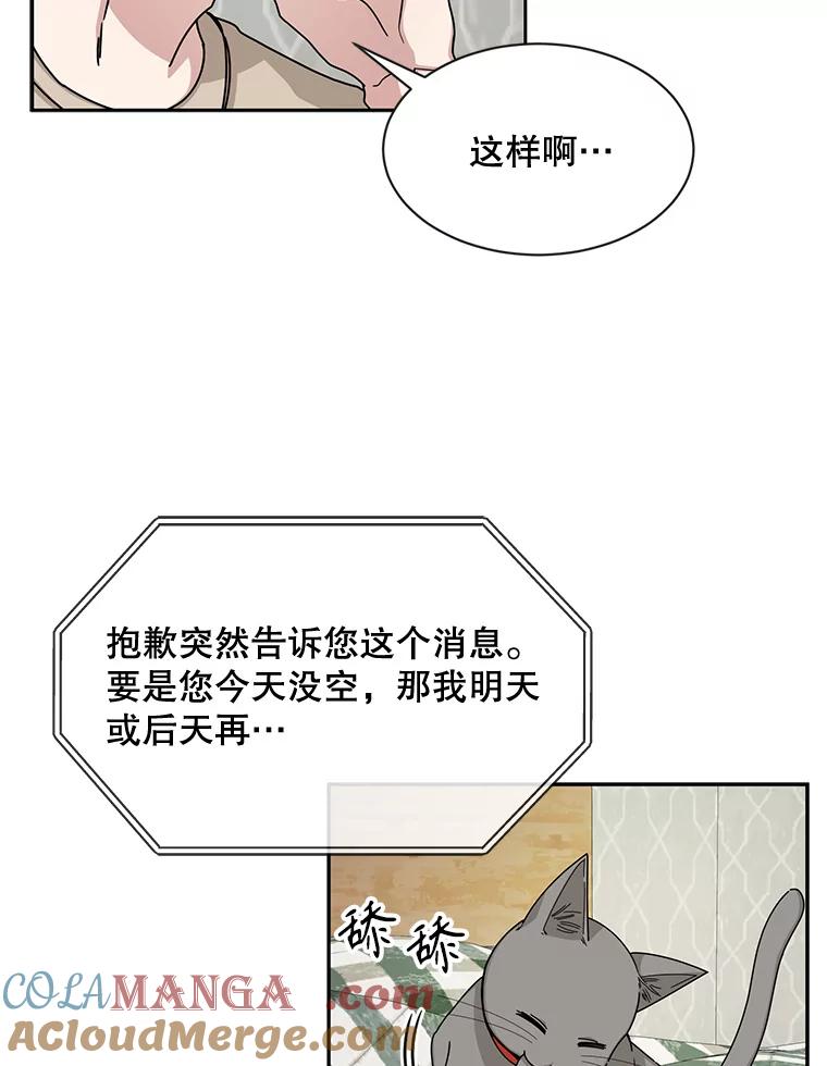 《通灵小说家》52.确定剧本作家 第13页