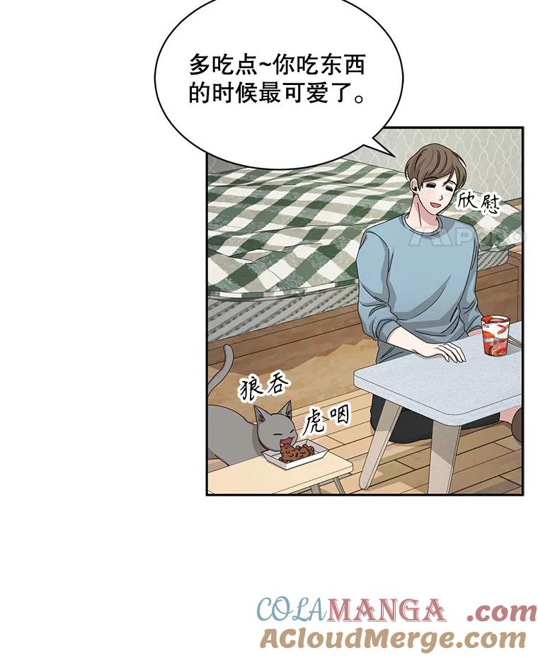 《通灵小说家》52.确定剧本作家 第82页