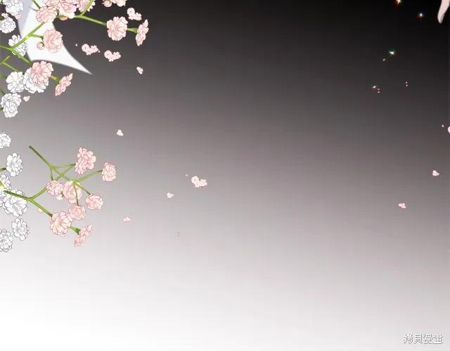 《明明是冷美人小姐却变成了忠犬大少爷》第22话 第228页