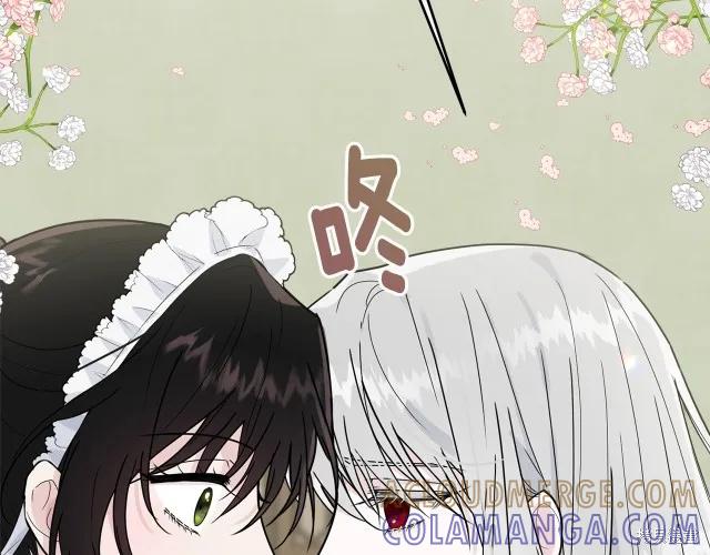 《明明是冷美人小姐却变成了忠犬大少爷》第22话 第225页
