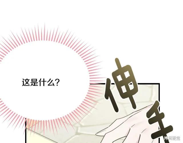 《明明是冷美人小姐却变成了忠犬大少爷》第23话 第47页