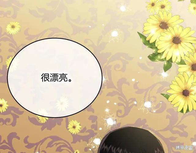 《明明是冷美人小姐却变成了忠犬大少爷》第23话 第79页